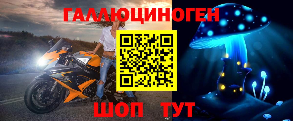 Псилоцибиновые грибы Psilocybe  Вышний Волочёк  Псилоцибиновые грибы прущие грибы 