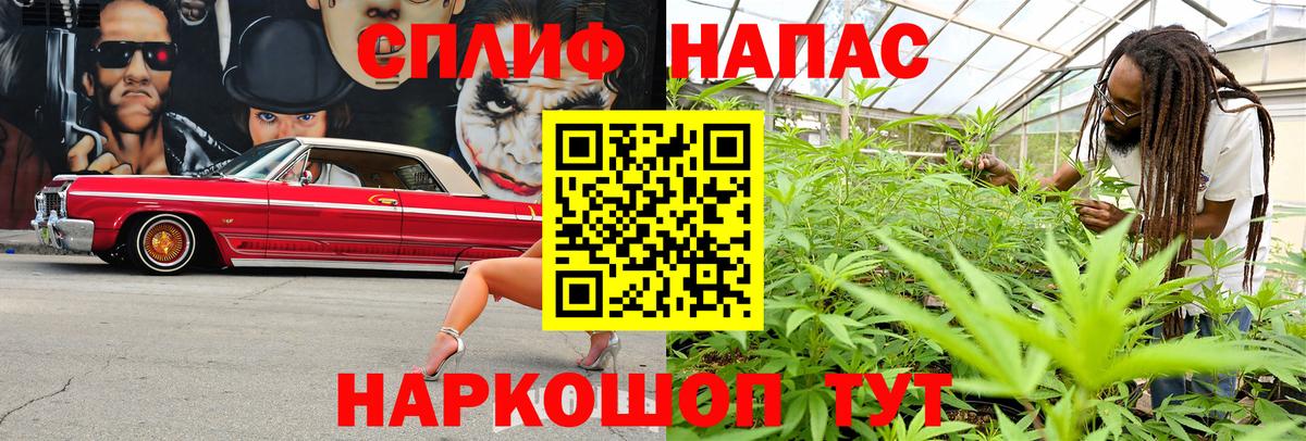 Бошки марихуана план Вышний Волочёк